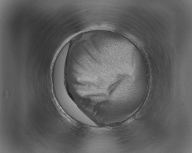 X0000076031200200610061410