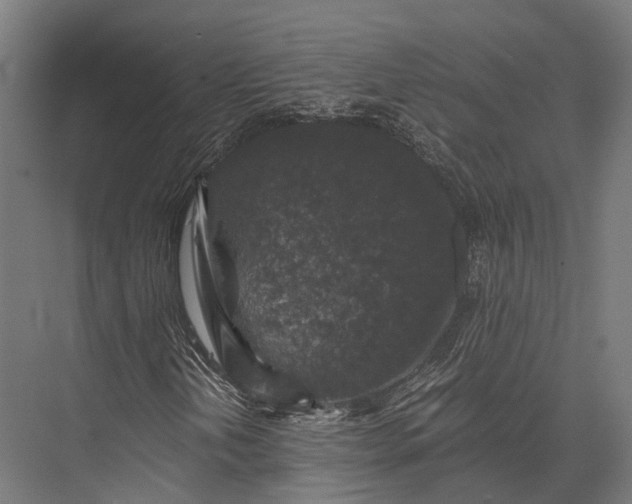 X0000076031202200610061409