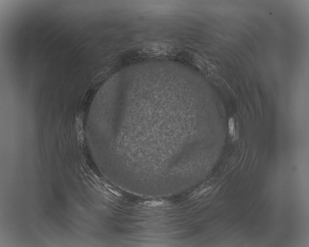 X0000076031203200610061409