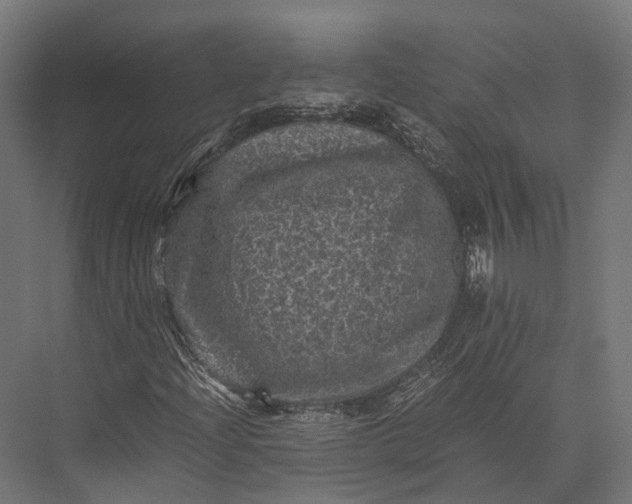 X0000076031204200610061409