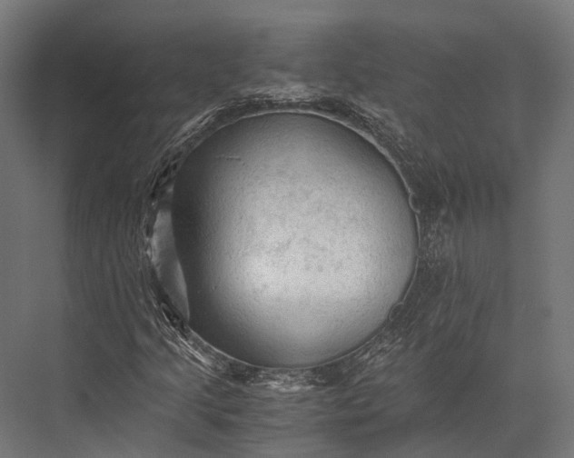 X0000076031205200610061409