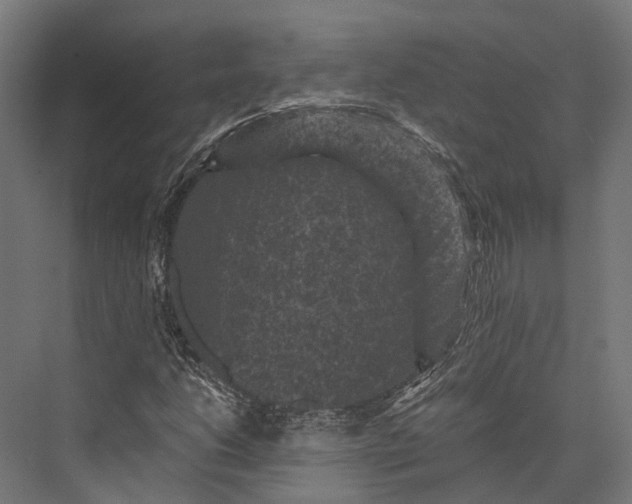 X0000076031206200610061409