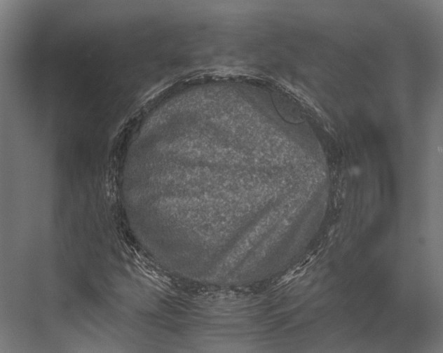 X0000076031207200610061409