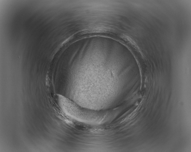 X0000076031210200610061409