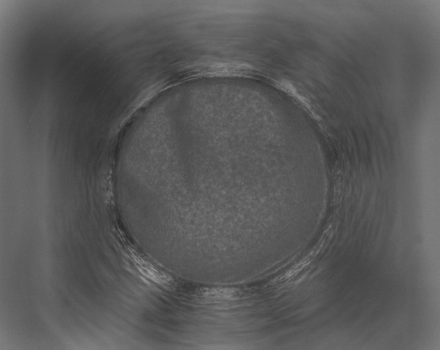 X0000076031211200610061409