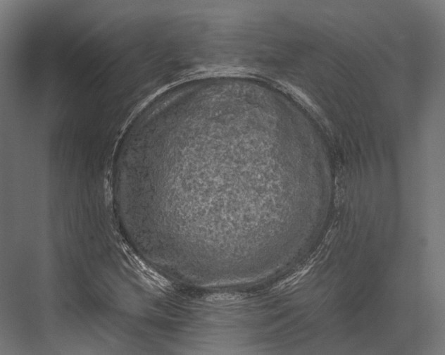 X0000076031212200610061409