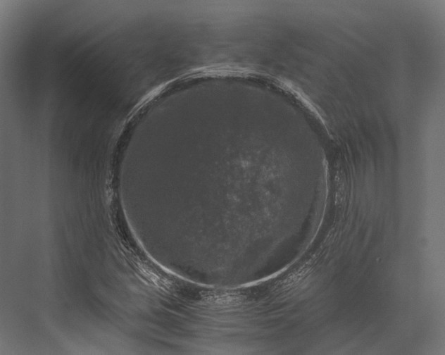 X0000076031213200610061409