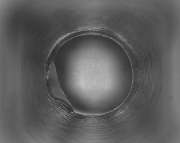 X0000076031214200610061409