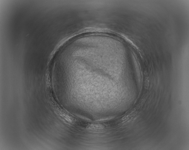 X0000076031215200610061409