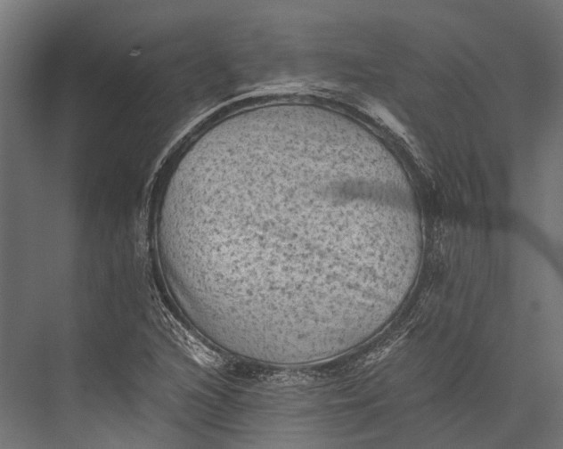 X0000076031216200610061409