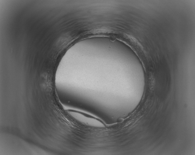 X0000076031217200610061409