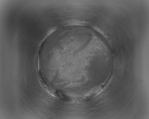 X0000076031219200610061409