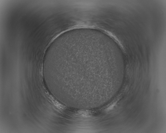 X0000076031220200610061409