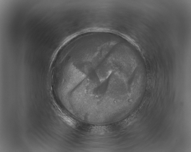 X0000076031223200610061409