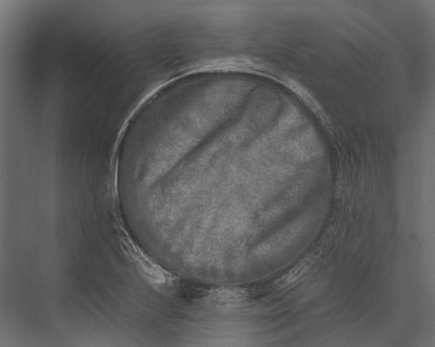 X0000076031224200610061409