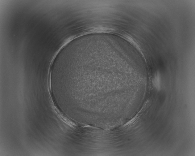 X0000076031227200610061409