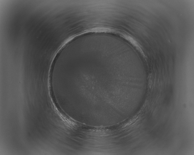 X0000076031229200610061409