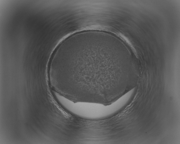 X0000076031230200610061409