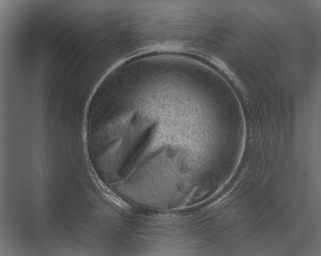 X0000076031232200610061409