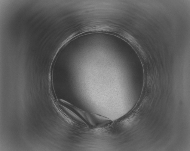 X0000076031234200610061409