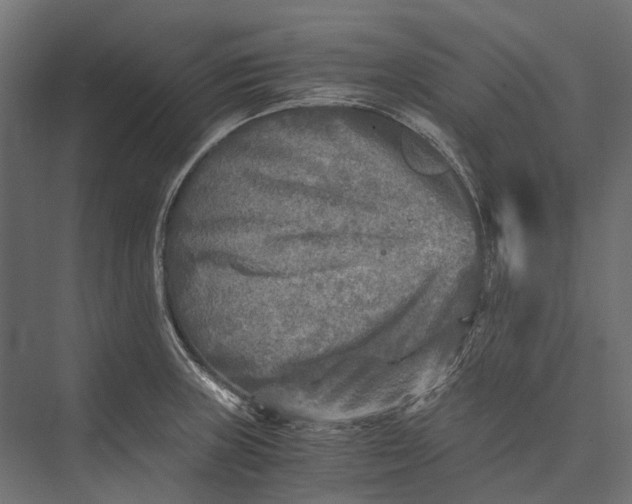 X0000076031235200610061410