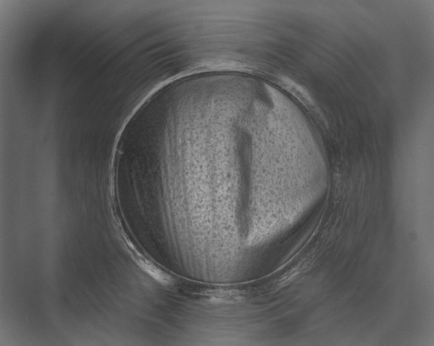 X0000076031236200610061410