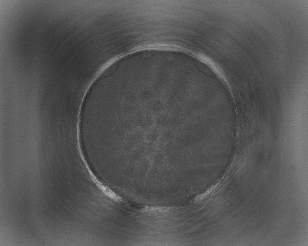 X0000076031237200610061410