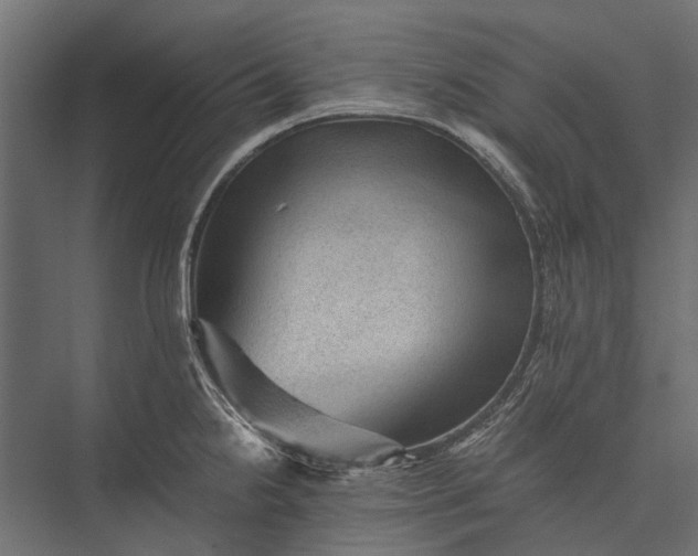 X0000076031238200610061410