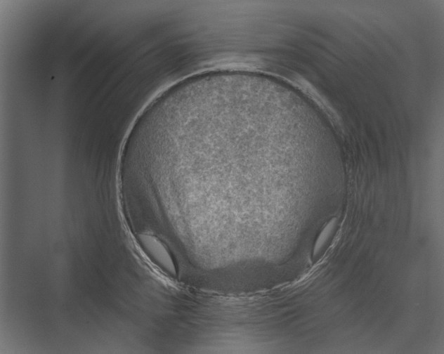 X0000076031240200610061410