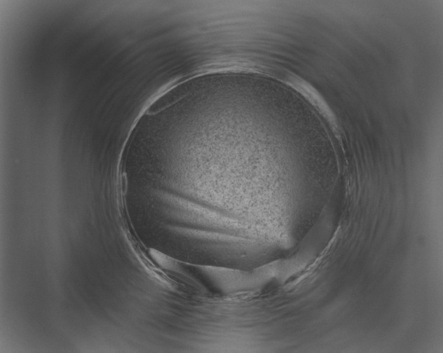 X0000076031242200610061410