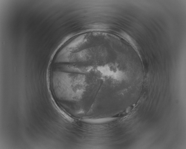 X0000076031243200610061410