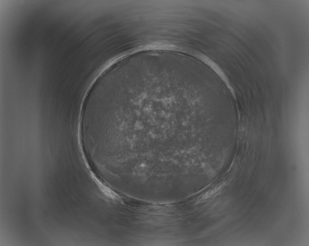 X0000076031245200610061410