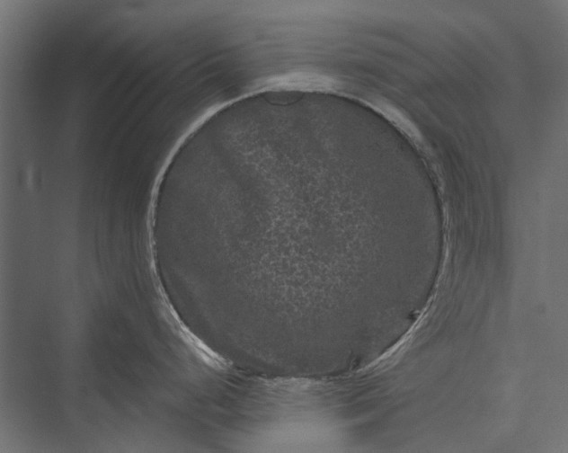 X0000076031248200610061410