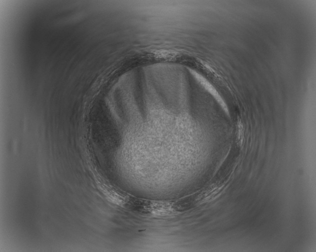 X0000076031249200610061409