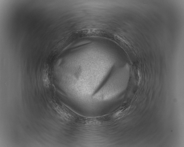 X0000076031250200610061409