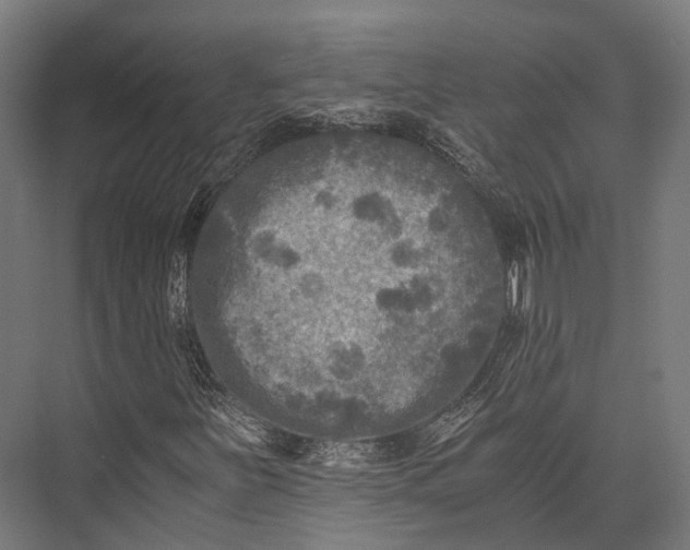 X0000076031251200610061409