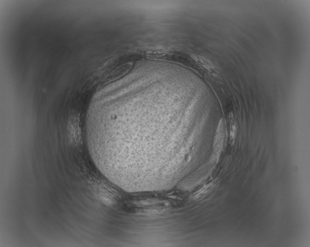 X0000076031252200610061409