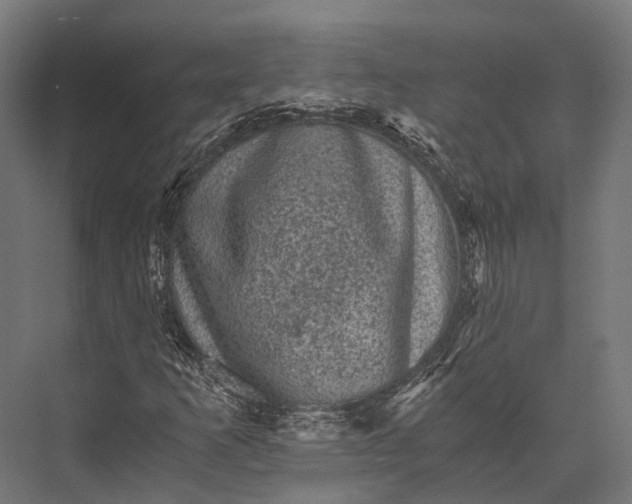 X0000076031253200610061409