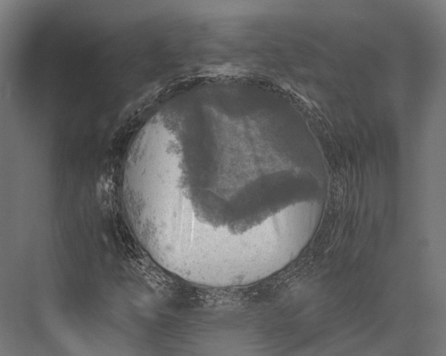 X0000076031254200610061409