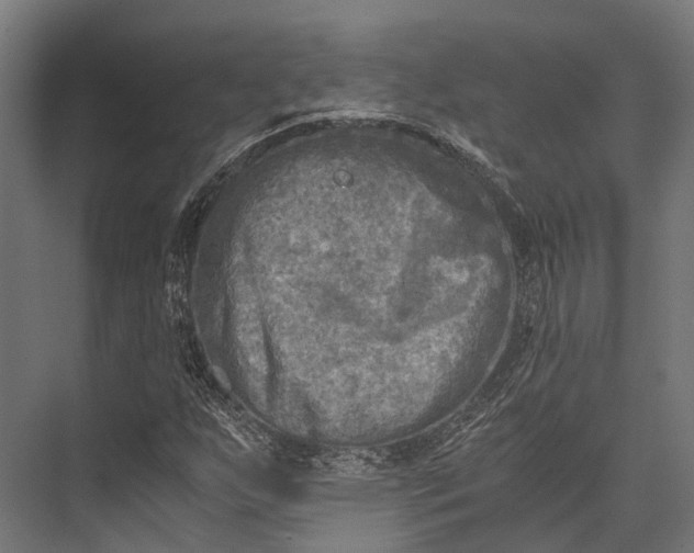 X0000076031255200610061409