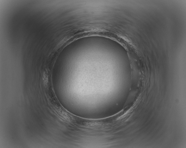 X0000076031257200610061409