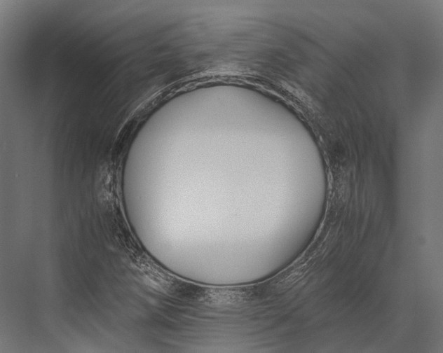 X0000076031258200610061409