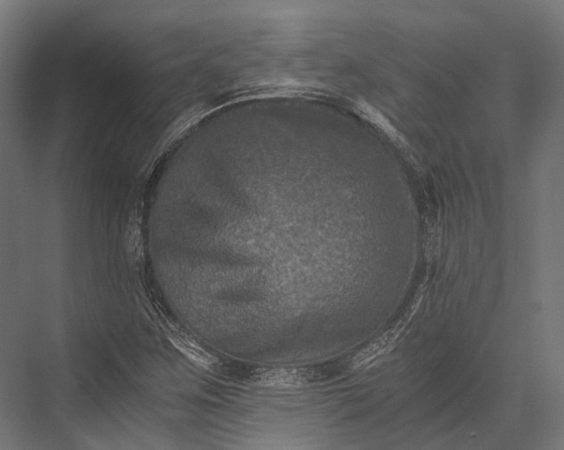 X0000076031259200610061409