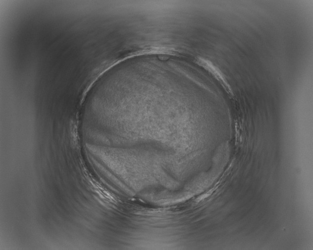 X0000076031260200610061409