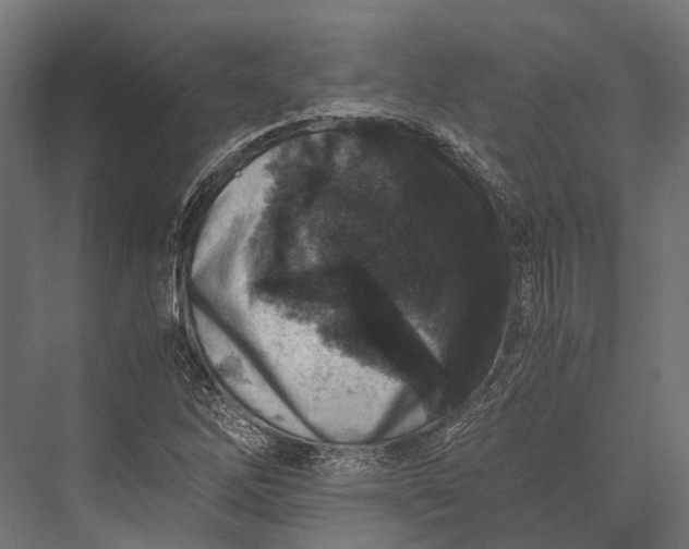 X0000076031262200610061409