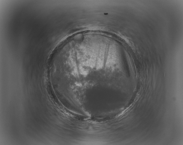 X0000076031263200610061409