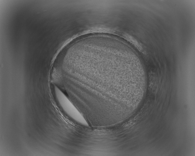 X0000076031264200610061409