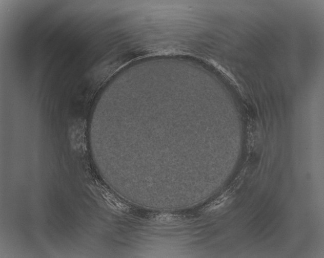 X0000076031265200610061409