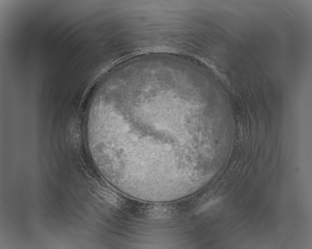 X0000076031266200610061409