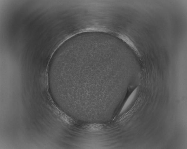 X0000076031268200610061409